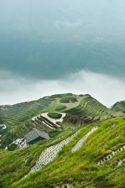 Verde Casa Niebla Abajo Paisaje Nublado Otoño Con Terrazas Arroz —  Fotos de Stock