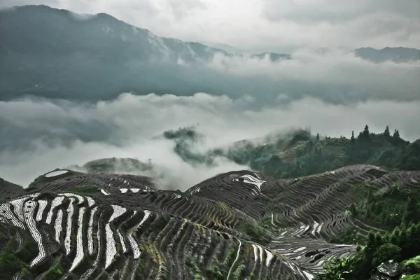 Ομιχλώδης Πανόραμα Misty Φθινοπωρινό Τοπίο Ρύζι Βεράντες Γιανγκσούο Κίνα Longsheng — Φωτογραφία Αρχείου