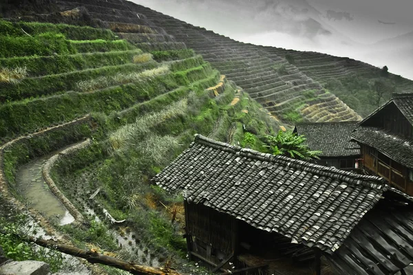 Granja Tradicional Paisaje Otoñal Brumoso Con Terrazas Arroz China Yangshuo —  Fotos de Stock