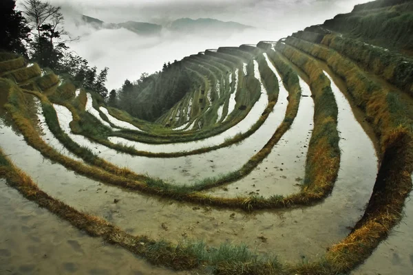 라이스 테라스와 풍경입니다 Yangshuo Longsheng 라이스 테라스 — 스톡 사진