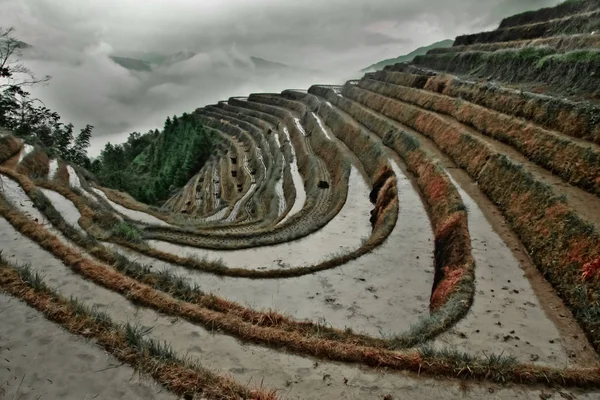 Σοβαρή Κινέζικο Ρύζι Αυξάνεται Misty Φθινοπωρινό Τοπίο Ρύζι Βεράντες Γιανγκσούο — Φωτογραφία Αρχείου