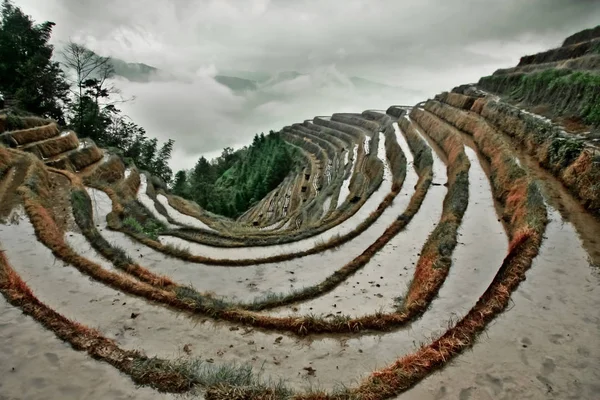 Terrazas Rojas Con Agua Paisaje Otoñal Brumoso Con Terrazas Arroz —  Fotos de Stock