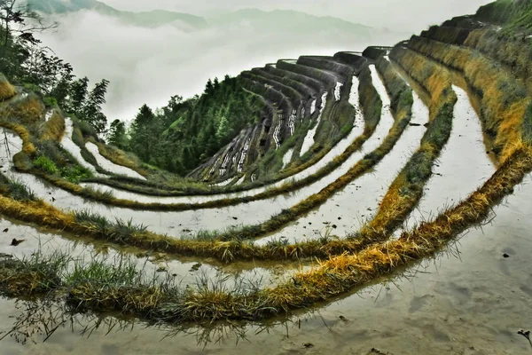 Pantano Arriba Paisaje Otoñal Brumoso Con Terrazas Arroz China Yangshuo —  Fotos de Stock