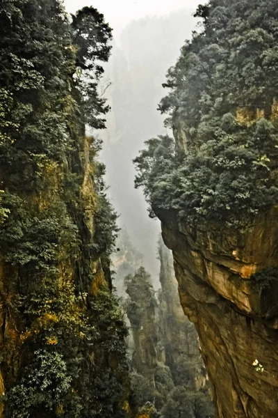 Pino Una Ripida Scogliera Rocciosa — Foto Stock