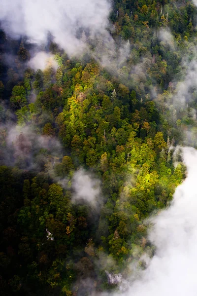 Πετώντας Πάνω Από Δάσος Μέσα Από Κενά Των Νεφών Πετώντας — Φωτογραφία Αρχείου