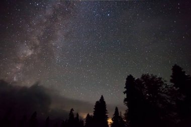 Orman, bizim halctica üzerinde kan-maroon gökyüzü üzerinde parlak Samanyolu.