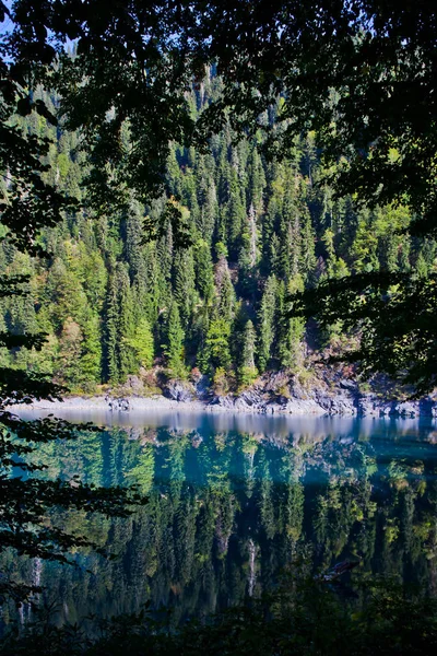 Turquoise lake among the branches of trees and wooded opposite shore, wilderness.
