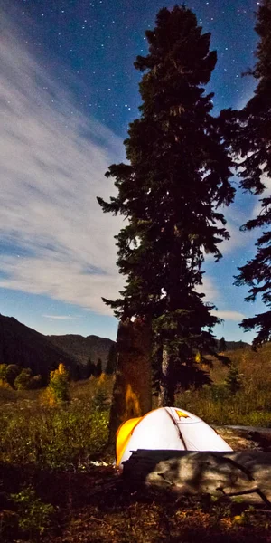 Illuminated Tent High Tree Night Hiking Adventure — Stock Photo, Image