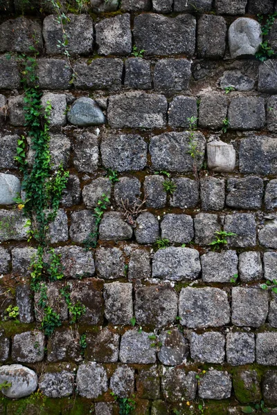 Antigua Pared Piedras Grises Entrelazadas Con Hiedra Verde Antecedentes — Foto de Stock