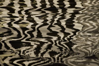 Altın çizgileri ve dalgalar su yüzeyi ipek, tex arka plan