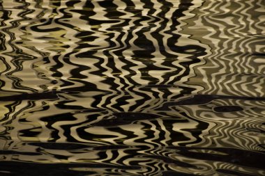 Altın çizgileri ve dalgalar su yüzeyi ipek, tex arka plan