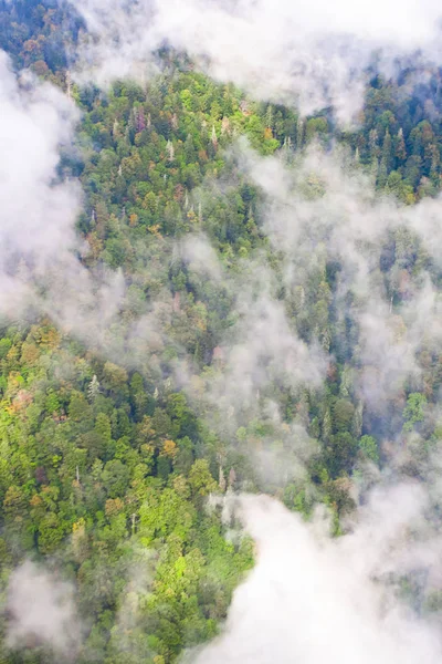 Πάνω προς τα κάτω τυρκουάζ δάσος στη βουνοπλαγιά κάτω από τα σύννεφα — Φωτογραφία Αρχείου