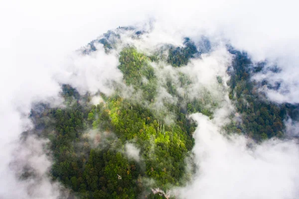 Yukarıdan aşağıya bulutların altında dağın üzerinde turkuaz orman