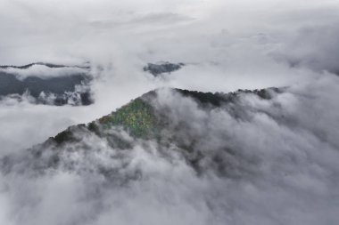 Orman tepeler üzerinde. Bulutlar (bulutlar deniz) f yukarıda uçan