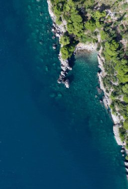 Denizde çalılar ve botla tepeden tırnağa taş uçurum.