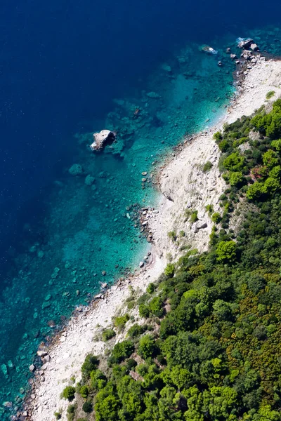 나무가 많은 해변, 돌, 바다. 아래의 풍경 ( 공중 ) — 스톡 사진