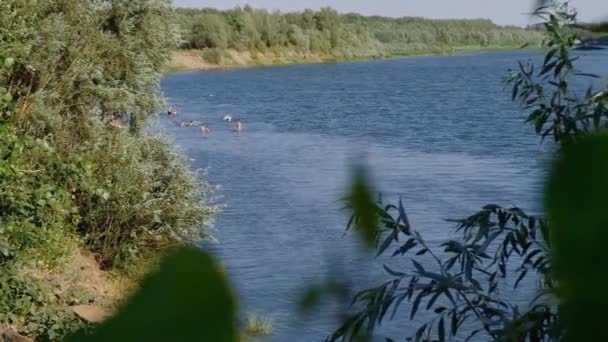 Άνθρωποι Κολυμπούν Στο Ποτάμι — Αρχείο Βίντεο