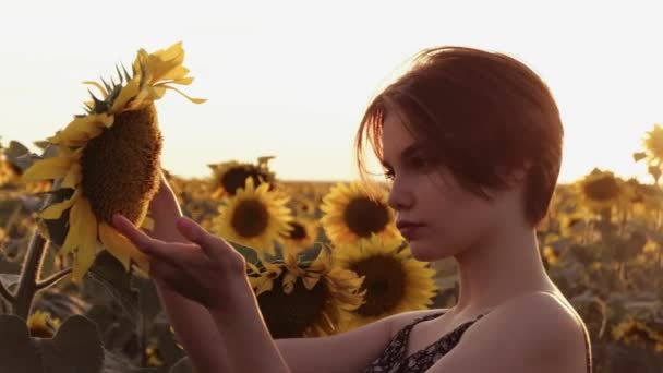 Дівчина Дивиться Соняшник — стокове відео