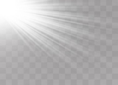 Vektör şeffaf güneş ışığı