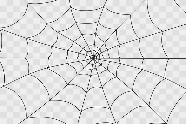 Spinnweben isoliert auf weiß — Stockvektor
