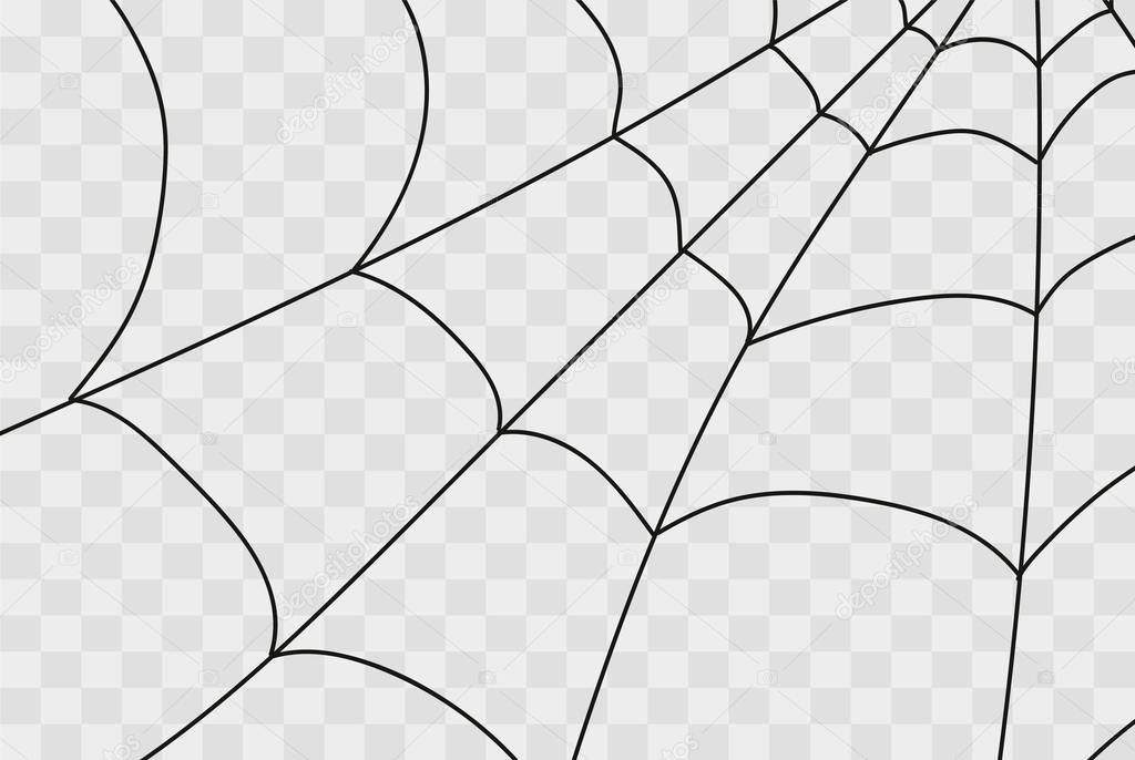 Cobweb isolated on white