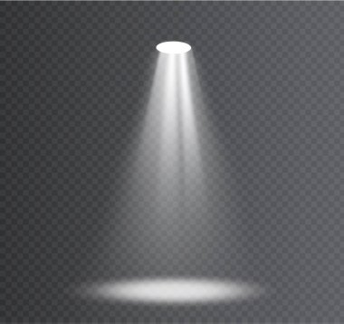 Vektör spot ışık