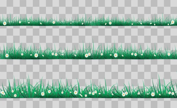 Hierba verde sobre un transparente — Archivo Imágenes Vectoriales