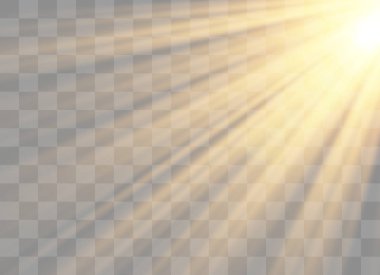 Vektör şeffaf güneş ışığı