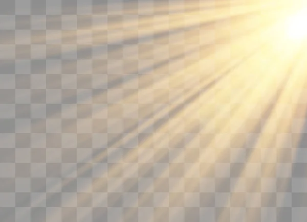 ベクトル透明な太陽の光 — ストックベクタ