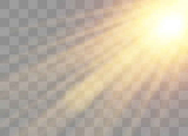Вектор прозорий сонячних променів — стоковий вектор