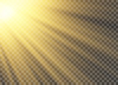 Vektör şeffaf güneş ışığı