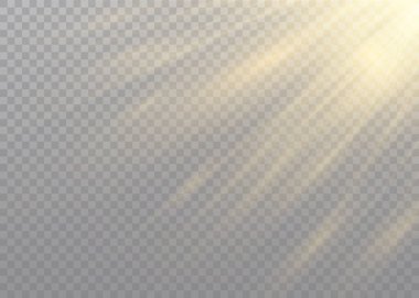 Işık efekti güneş ışığı.