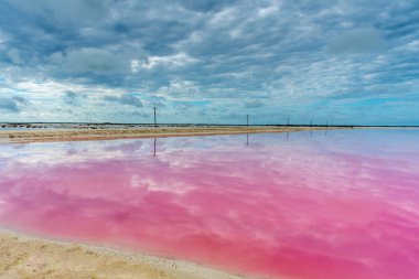 Bulutlu bir günde, Yucatan, Meksika gölde Rio Lagartos pembe
