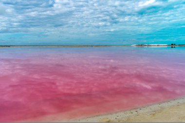 Bulutlu bir günde, Yucatan, Meksika gölde Rio Lagartos pembe