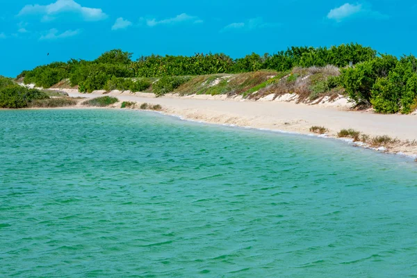 Rio Lagartos Yeşil Göl güneşli bir günde, Yucatan, Meksika