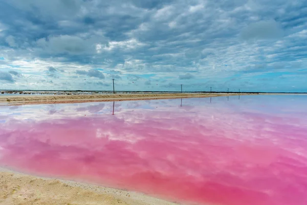 Rio Lagartos Rózsaszín Egy Felhős Napon Yucatan Mexikó Jogdíjmentes Stock Képek