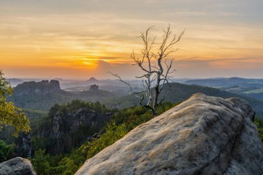 Almanya 'daki Sakson İsviçre Ulusal Parkı' nda dramatik bir gün batımı. Öndeki kayalık yamaçta bükülmüş huş ağacı. Çarpıcı dağ manzarası, manzaralı ışık, doğal manzara..