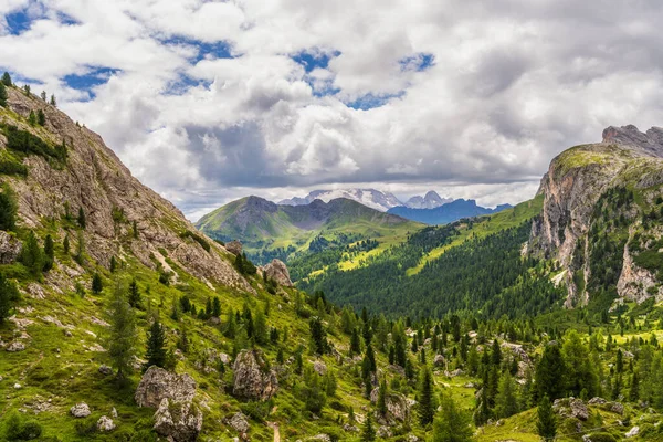 Dolomite Alpleri 'nin yemyeşil ormanları, çayırlar ve kabarık bulutlu parlak mavi gökyüzü manzarası. Doğa, seyahat, manzara temaları için ideal.