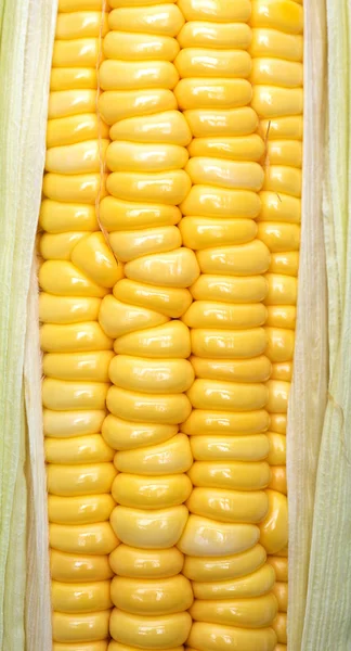 Сладкие Кукурузные Уши Заднем Плане Вид Сверху — стоковое фото