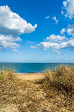 Kuzey Norfolk, İngiltere 'de Winterton plajında Marram otları. Bir yaz günü, portre oryantasyonunda.