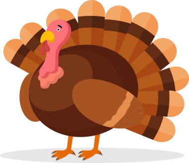 Şükran Günü veya Noel çizgi filmi Türkiye, Festivalsel grafik unsuru Türkiye