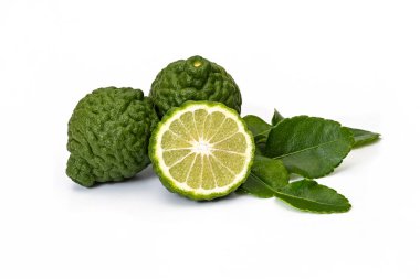Bergamot meyve Güney Afrika'da bir kabile ıhlamur ve beyaz zemin üzerine yeşil yaprakları bitkisel ürünler için