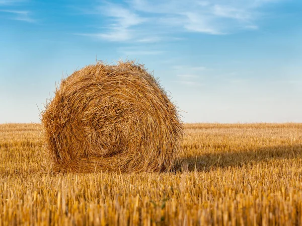 Rural Landscape Bale Golden Straw — Stock Photo, Image