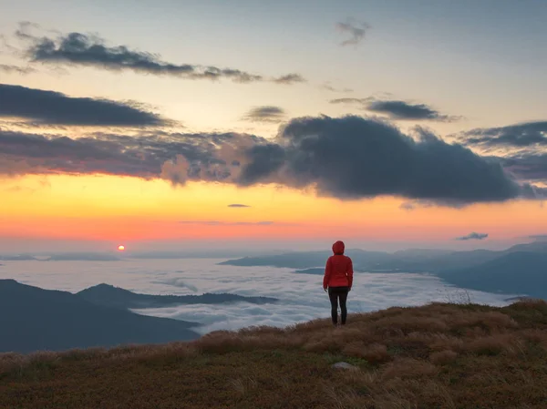 Bir kız dağ sunrise tepesinden bir sis kaplı vadi izlerken bir kukuleta ile kırmızı ceketli