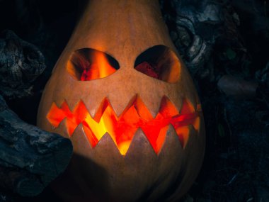 Gözleri karanlık bir yanma ile korkunç Cadılar Bayramı Balkabağı closeup arka plan eski ağaç kökleri