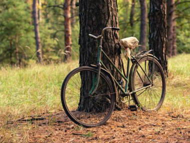 Vintage bisikletle sonbahar çam ormanı ağaçta bir ev yapımı koltuk konumu olan