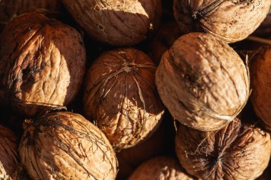 Ceviz güneş ışığı, closeup