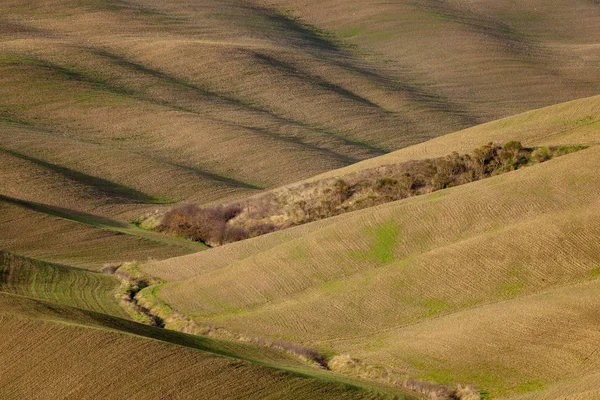 Gröna Landskapet Toscana Italien — Stockfoto