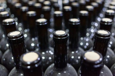 Tozlu şarap şişeleri satır