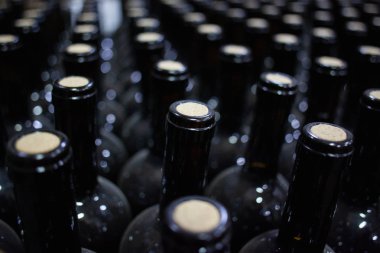 Tozlu şarap şişeleri satır